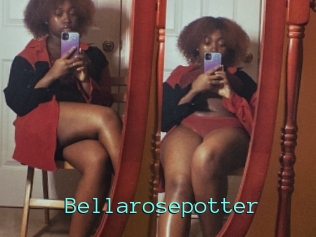 Bellarosepotter