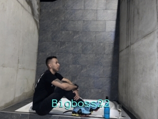 Bigboss22