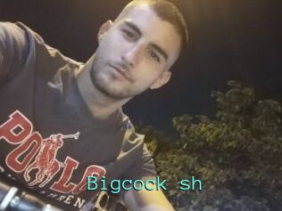 Bigcock_sh