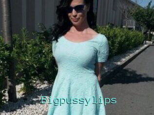 Bigpussylips