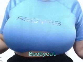 Boobycat