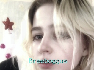 Breeboggus
