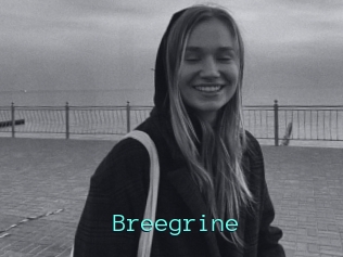 Breegrine