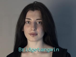 Bridgetangwin