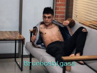Brunhosbigass