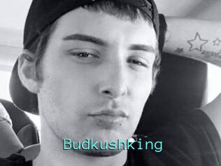 Budkushking