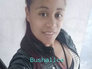 Bushalice