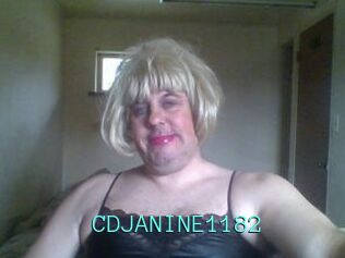CDJANINE1182