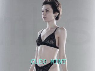 CLEO_MINT