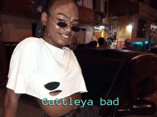 Cattleya_bad