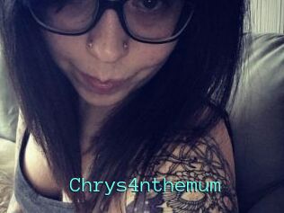 Chrys4nthemum