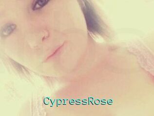 Cypress_Rose