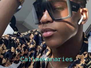 Callmekanaries