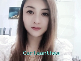 Carlaanthea