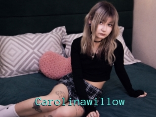 Carolinawillow