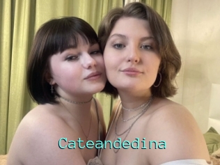 Cateandedina