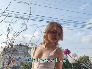 Chloecolts
