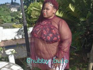 Chubby_bule