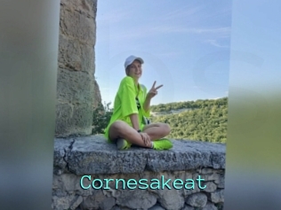 Cornesakeat