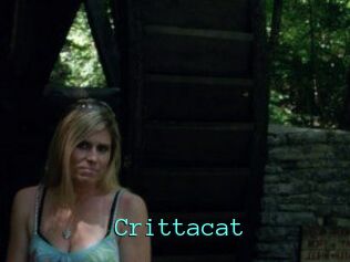 Crittacat