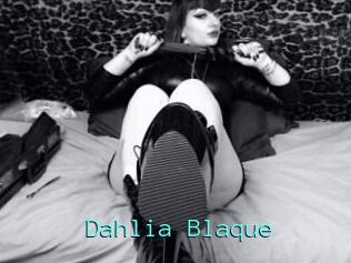 Dahlia_Blaque
