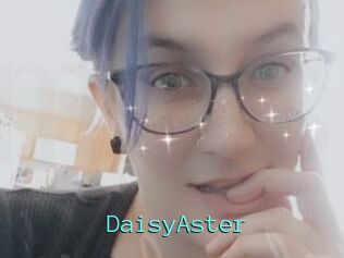 DaisyAster