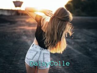 DaisyColle