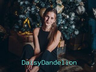 DaisyDandelion