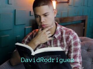 DavidRodriguez