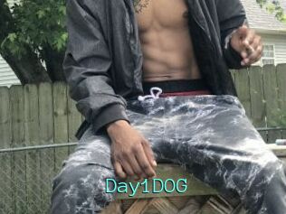 Day1DOG