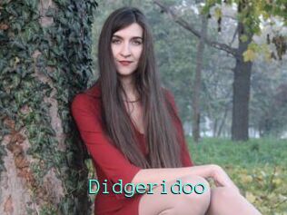 Didgeridoo