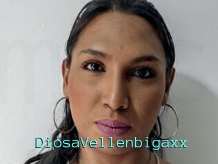 DiosaVellenbigaxx