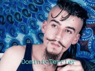 DominicTerrier Mobile Sex