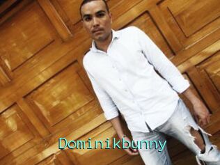 Dominikbunny