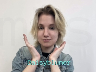 Daisyblumer