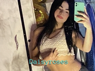 Daisyroses