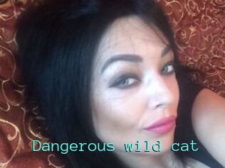 Dangerous_wild_cat