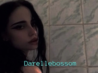 Darellebossom