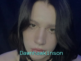 Dawnhawkinson