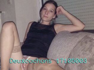 Deuxcochons