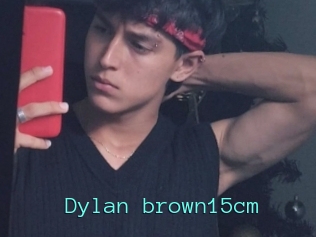 Dylan_brown15cm