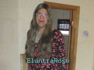 Elantra_Rose