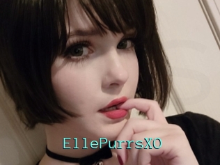 EllePurrsXO
