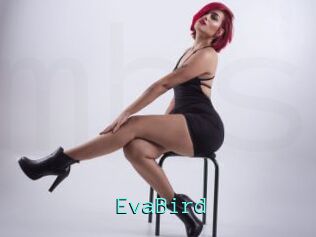 EvaBird