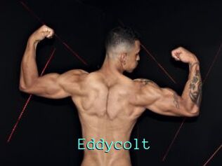 Eddycolt