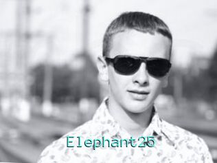 Elephant25