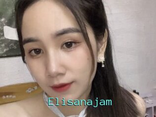 Elisanajam
