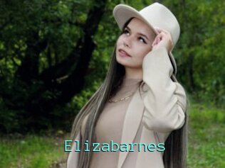 Elizabarnes