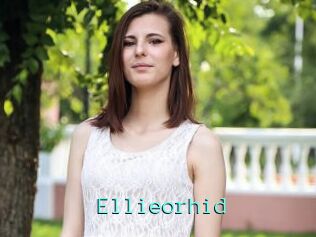 Ellieorhid