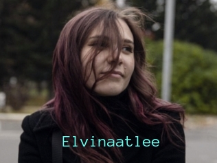 Elvinaatlee